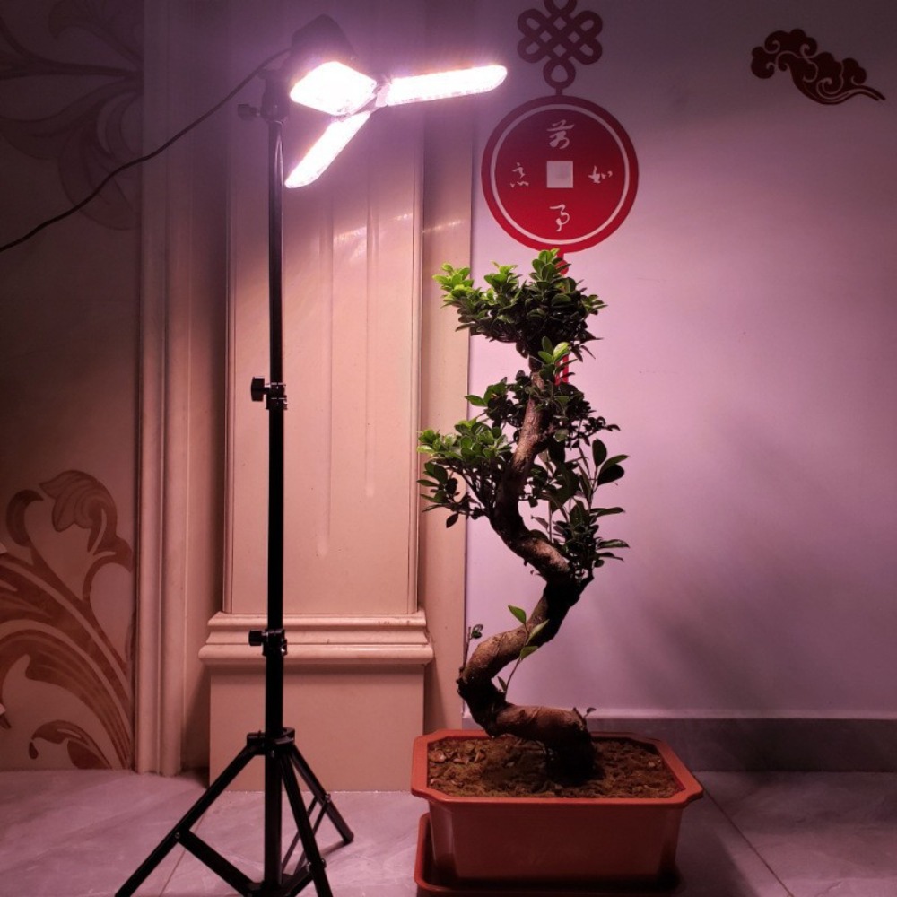 Light Bulb Stand 2M, E27 AC So - Stand Lighting Photography review and price