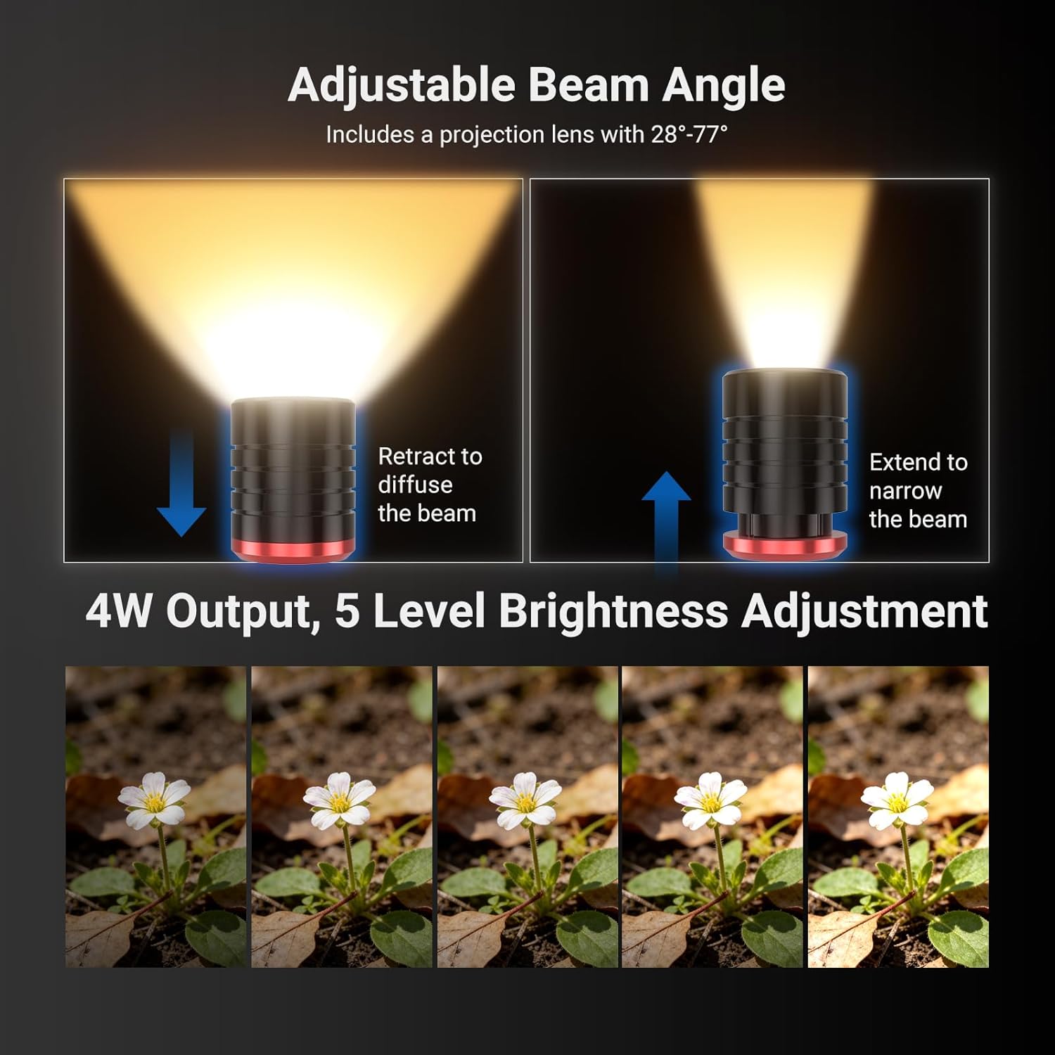 NEEWER Basics ML01 USB C LED L - Photography Lighting Angles review and price