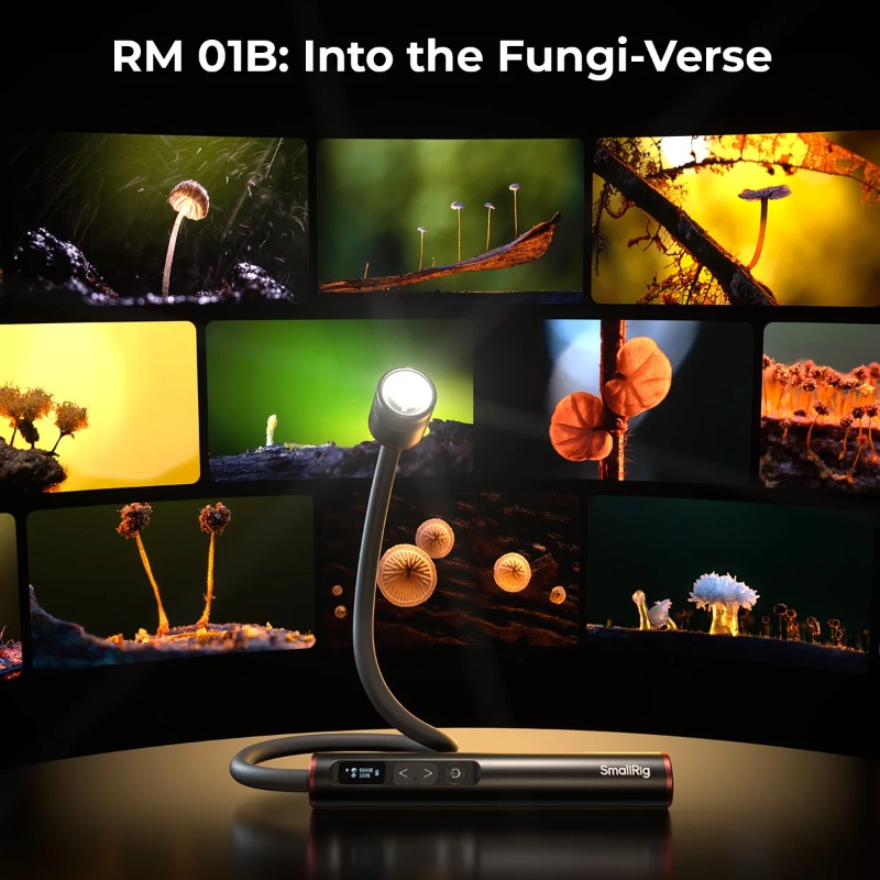 SmallRig RM 01B Macro Photogra - Photography Lighting Angles review and price