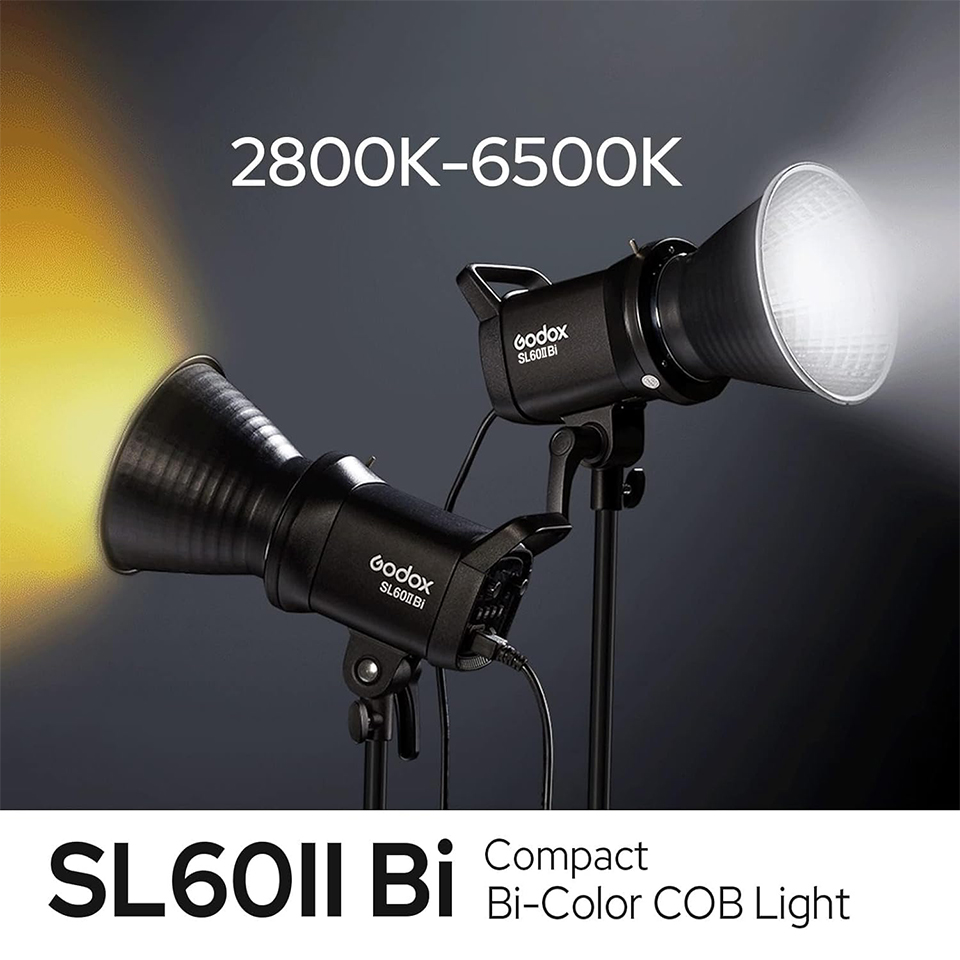 Godox SL60IID SL60IIBi 75W Day - Photography Lighting Grid review and price